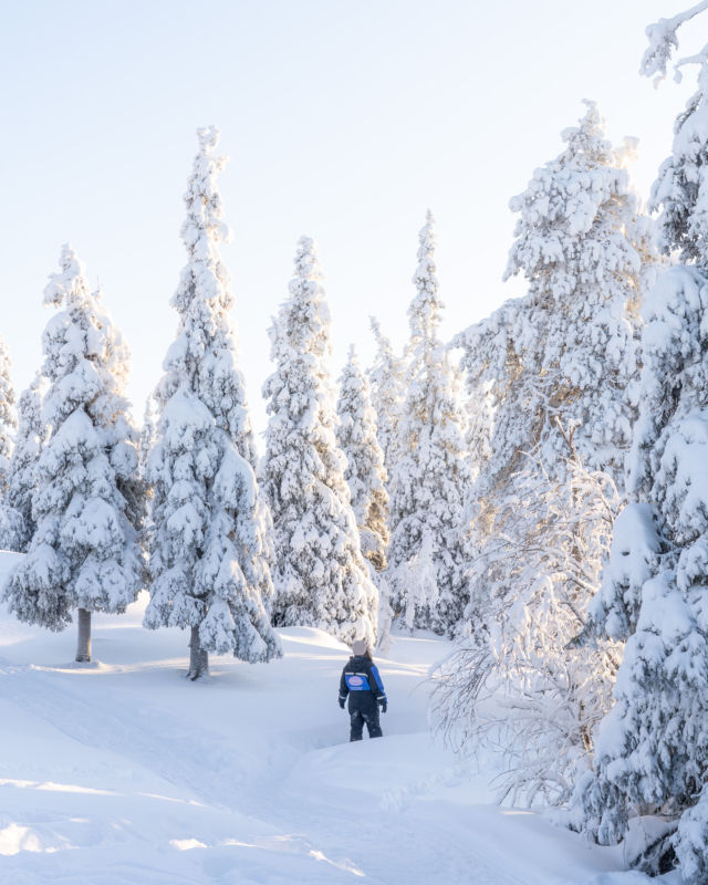 Luminen erämaa kutsuu! ❄️
Pakkasilma virkistää, hanki upottaa ja hiljaisuus lumoaa. ✨ Keskellä ei mitään – mutta juuri siellä, missä haluat olla.

- - 
Step into a world of snow and silence! ❄️ 
Where the snow is deep, the air is crisp, and the silence of the wilderness is pure magic. ✨ In the middle of nowhere, yet exactly where you want to be.