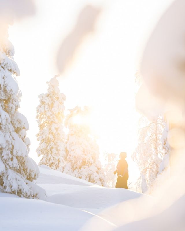 A picture perfect day in Lapland🌞❄️
(Sunglasses highly recommended! 😉)